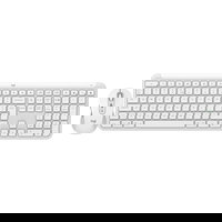 Kit tastatura si mouse Wireless LOGITECH MK950, USB, Bluetooth, US INT, alb