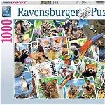 Ravensburger RAV puzzle 1000 Zwierzęta świata 17322, Ravensburger