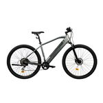 Bicicleta Electrica Corwin 28161, roti 28inch, cadru 520mm, motor 250 W, 9 viteze, acumulator 16.75 Ah (Gri), Corwin