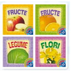 Set 4 Carti Pliante - Fructe, Legume si Flori