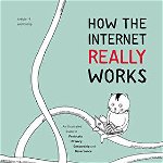 How the Internet Really Works: An Illustrated Guide to Protocols