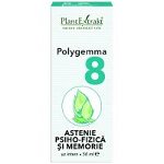 PlantExtrakt Polygemma 8 ( astenie psiho-fizica si memorie ) x 50 ml, PlantExtrakt
