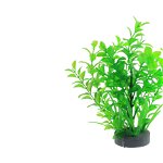 Planta decorativa pentru acvariu Micranthemum 19 cm