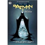 Batman Vol. 10, Scott Snyder (Author)