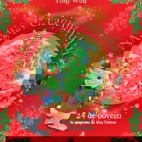 Magia Caciunului. 24 povesti