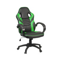 Scaun gaming, 53 x 52 cm, spatar 71 x 53 cm, cotiera fixa, maxim 110 kg, Verde/Negru