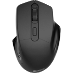 Mouse Canyon MW-15 gold (CNE-CMSW15GO)