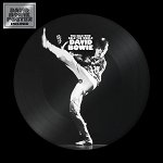 David Bowie-The Man Who Sold The World (Picture Disc)(Limited Edition)-LP