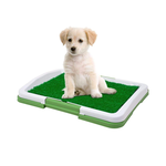 Toaleta Pentru Caini puppy potty pad, 