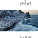 Vinil A-HA - TRUE NORTH - LP2