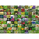 Puzzle Ravensburger 99 Herbs And Spices 1000pc (15991) 