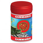 Exo Gammarus 120ml Cutie, Exotic-K