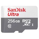 Card de memorie SanDisk, Ultra, 256GB, UHS-I, Class 10, Argintiu