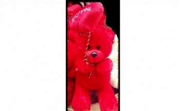Ofera-i persoanei iubite un Ursulet de Plus minunat de Valentine's Day, la 37 RON in loc de 77 RON, Roy Market