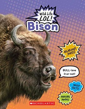 Bison (Wild Life Lol!)