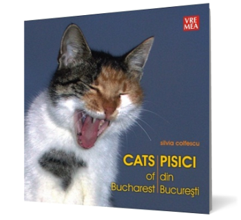 Pisici din București - Cats of Bucharest - Paperback brosat - Silvia Colfescu - Vremea, 