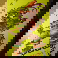 Motanul Negru. Povesti Bretone, EXCELSIOR