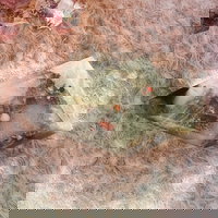 Cabochon jasp piatra sangelui/seftonit m2, druzy.ro - Cristale, Home Deco