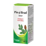 Sirop natural din muguri de pin si brad