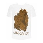 Guardians of the Galaxy - I AM GROOT, Marvel