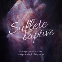 Suflete captive. Povesti neobisnuite despre vieti obisnuite - Dama de Trefla, Bookzone