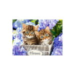 Puzzle 60 piese Cute Kittens