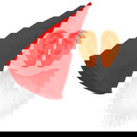 Set pitic poveste, Widmann