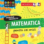 MATEMATICA pentru cei mici. Primele proiecte. Educație STEM, Editura NICULESCU