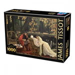 Puzzle D-Toys James Tissot A Convalescent 1000 piese