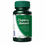 Ciuperca tibetana DVR Pharm 60 capsule