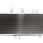 Radiator Suzuki GSX 1250 2010-2017, 4 RIDE