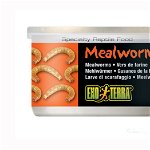 Hrana reptile Hagen Meniu Exo Terra Mealworms 34 g