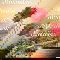 Povestea florilor de mac de pe insula lămâilor, bookbite-carti-cumparate