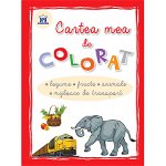 Cartea mea de colorat - Legume, fructe, animale, mijloace de transport, Didactica Publishing House