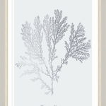 Tablou Framed Art Silver Coral II