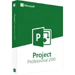 Microsoft Project Professional 2019, Multilanguage, Windows, Flash USB