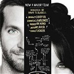 The Silver Linings Playbook (film tie-in edition)