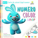 NumeroColor. Junior, Gama