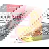 Raspundel Istetel Carte Animale Domestice