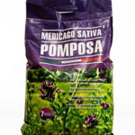 Seminte de lucerna Pomposa 10 kg