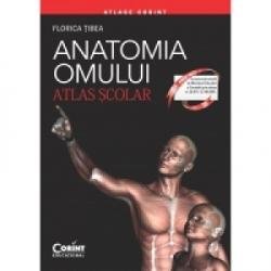 Atlas scolar anatomia omului (editia 2015, revizuita), Corint logistic SRL
