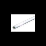 Tub neon fluorescent Philips Master TL-D 604mm Super 80 18W 865 G13 15000h lumina rece