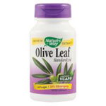 Olive Leaf 20% SE Nature's Way