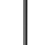 Microfon pentru telefon/laptop, Type-C, 2m - Ugreen (10934) - Black