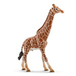 Figurina Schleich Male giraffes