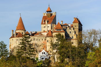 Cerere in casatorie la Castelul Bran, 