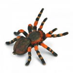 Figurina Tarantula Mexicana cu genunchi rosii, Collecta