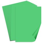 Carton color verde deschis A3 160g 10 set Clairefontaine 1008, Galeria Creativ