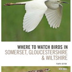 Where To Watch Birds in Somerset, Gloucestershire and Wiltshire