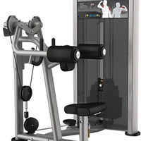 Aparat fluturari umeri Impulse Fitness IE 9524 (Negru/Gri)